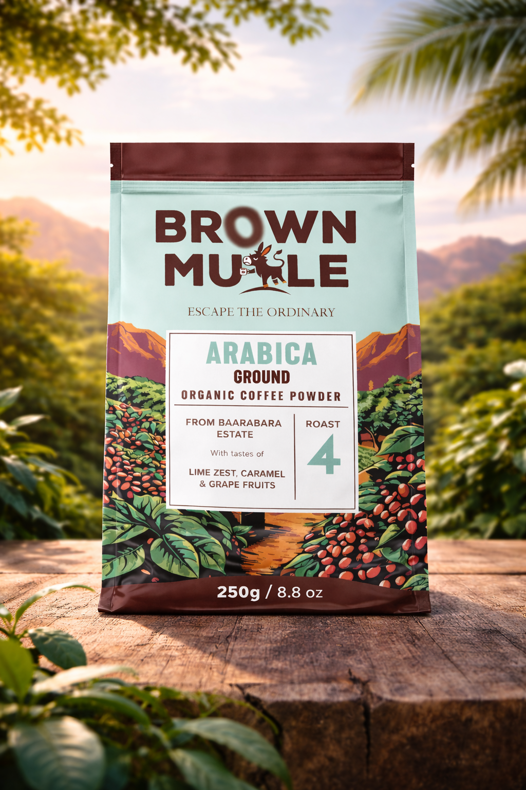 Arabica (baarbara estate)